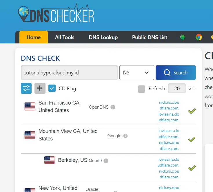 DNS Checker