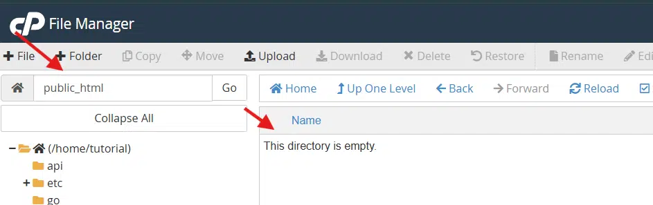 folder root