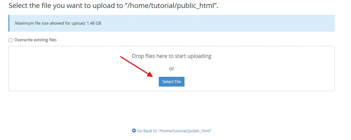 select file